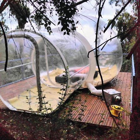 Dans Ma Bulle By C Cibeaulaos Hotel Cilaos Exterior foto
