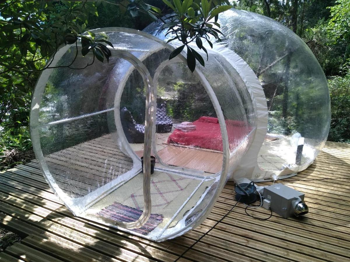 Dans Ma Bulle By C Cibeaulaos Hotel Cilaos Exterior foto