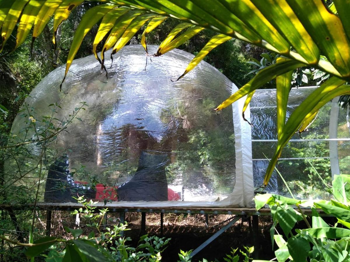 Dans Ma Bulle By C Cibeaulaos Hotel Cilaos Exterior foto