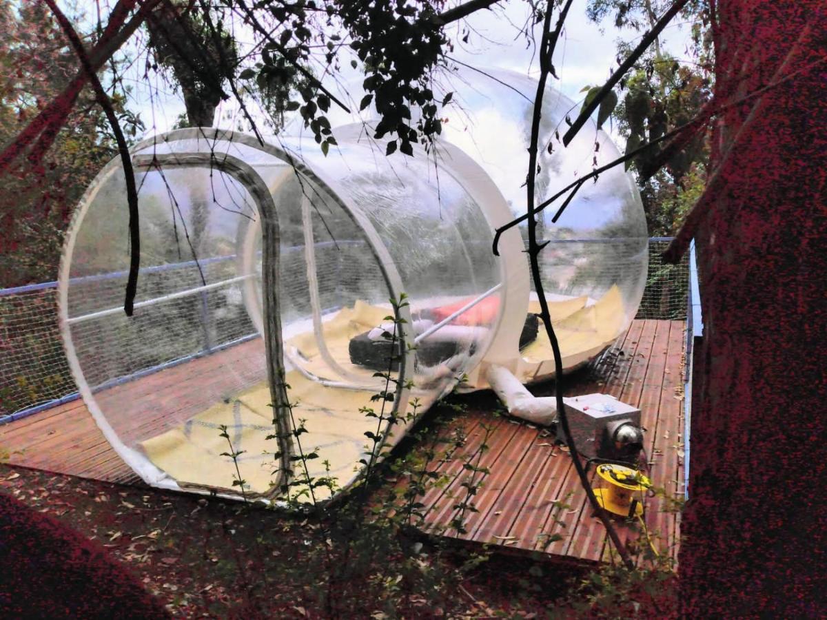 Dans Ma Bulle By C Cibeaulaos Hotel Cilaos Exterior foto