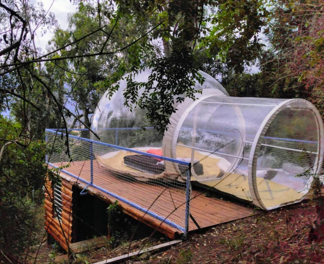 Dans Ma Bulle By C Cibeaulaos Hotel Cilaos Exterior foto